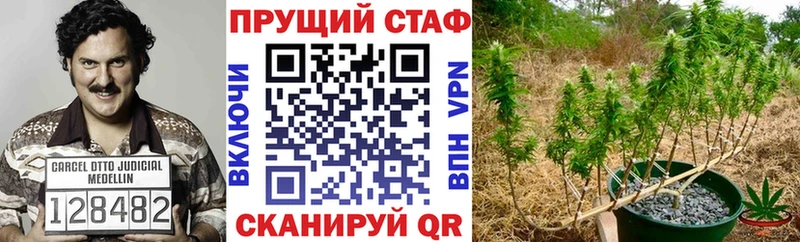 Купить наркотик аптеки Неман Галлюциногенные грибы  кракен сайт  Бошки Шишки  Гашиш 