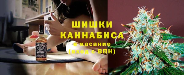 a pvp Белокуриха