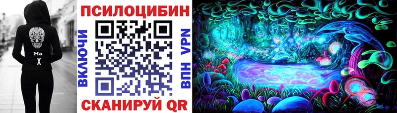 Галлюциногенные грибы Psilocybine cubensis  mega маркетплейс  Неман  продажа наркотиков 